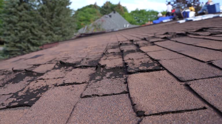 Trusted Nixon, TX Roofing Experts